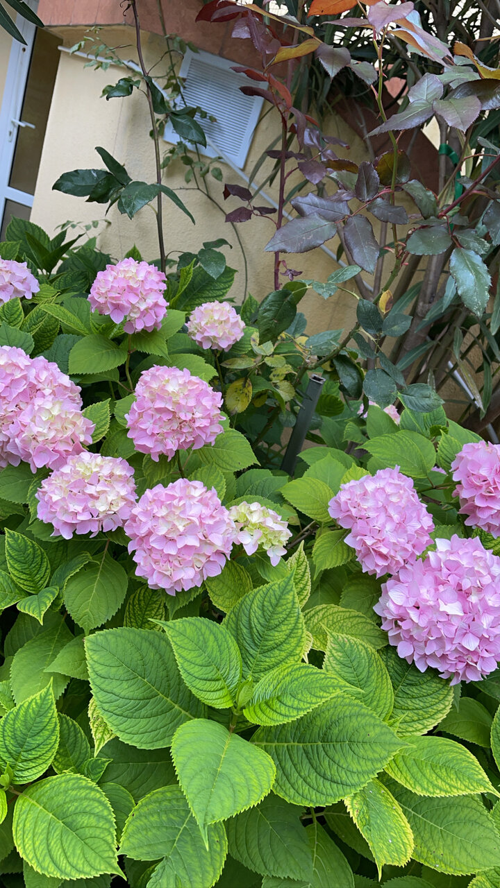 Гостиница Панама Лазаревское-14