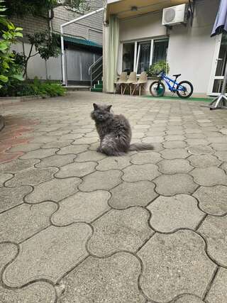 Гостиница Панама Лазаревское-4